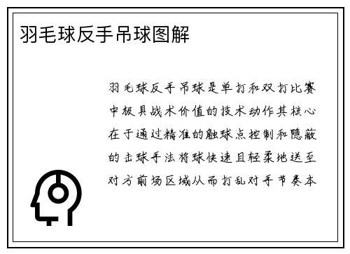 羽毛球反手吊球图解
