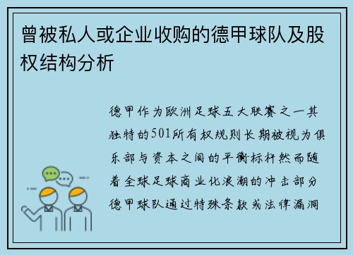 曾被私人或企业收购的德甲球队及股权结构分析
