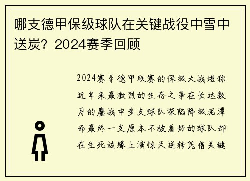 哪支德甲保级球队在关键战役中雪中送炭？2024赛季回顾