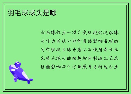 羽毛球球头是哪